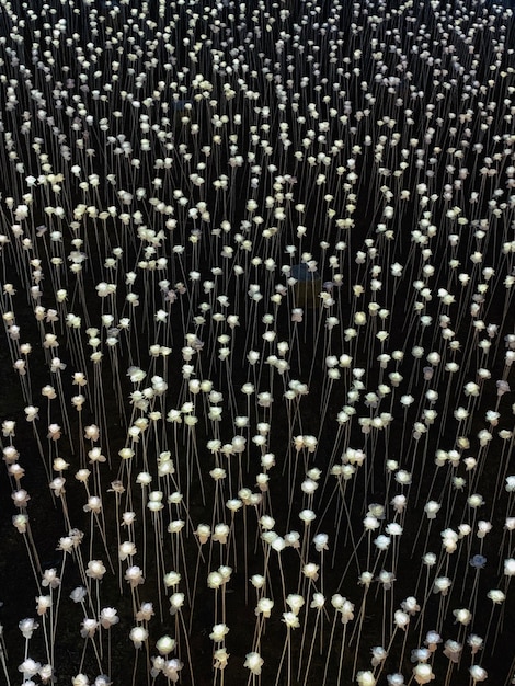 Cyber Security Threats: Protecting US Infrastructure in 2025