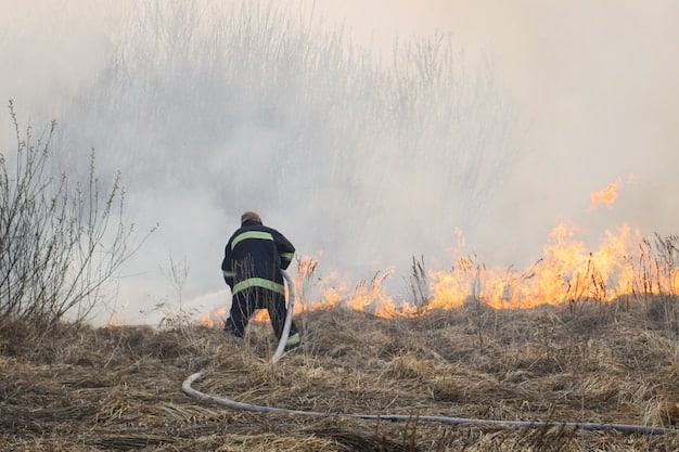 A medium shot of a firefighter inspecting a charred landscape after a wildfire. Smoke still rises in the background, and the foreground shows burned trees and dry earth. The firefighter is wearing full protective gear, and their face is visible, expressing a mix of concern and determination.