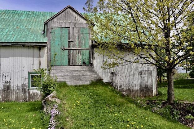 Investing in Fixer-Uppers: Risks, Rewards, and Profit Maximization