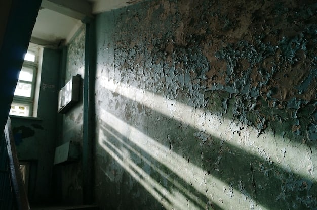 A close-up shot of severe water damage in a basement, with mold growth and crumbling drywall. The lighting is dim, emphasizing the potential for hidden and costly structural issues.