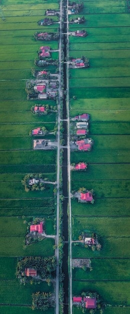 Land Investing 101: Your Beginner’s Guide to Buying and Developing Raw Land